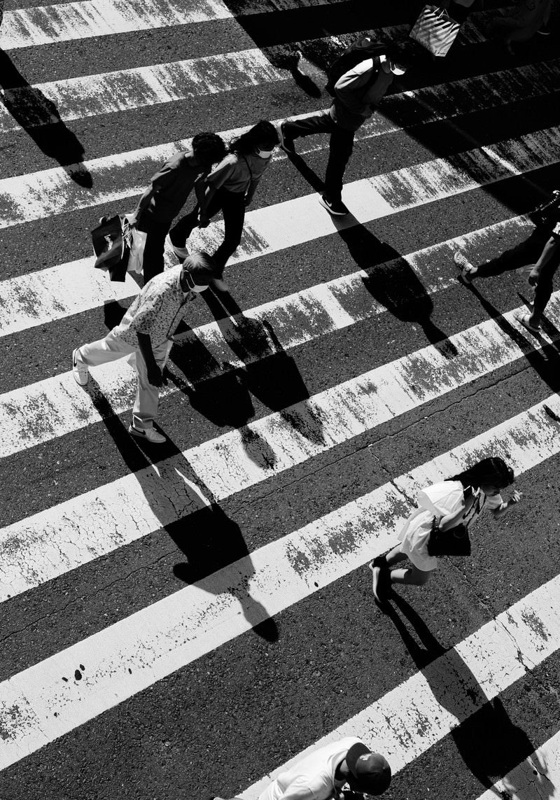 「横断歩道に伸びる影」の写真