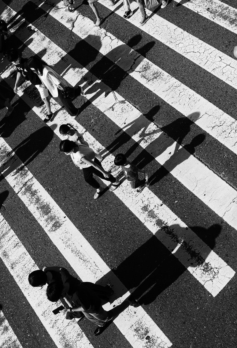 「横断歩道に映る家族の影」の写真