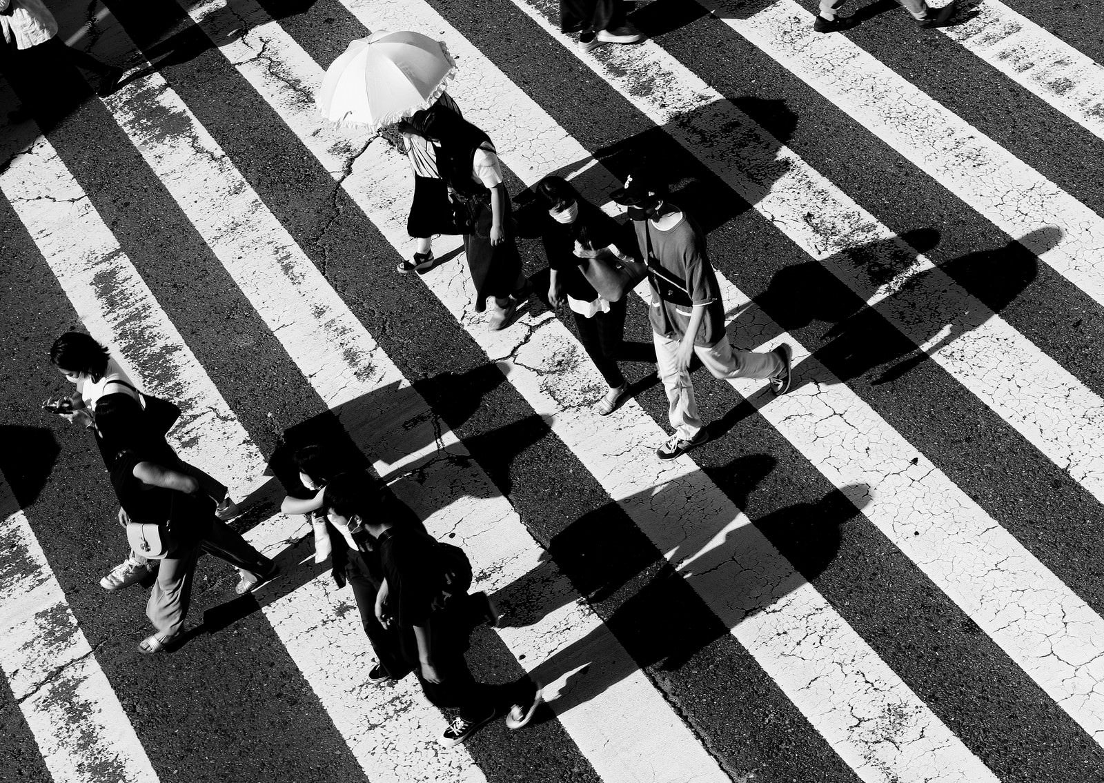 「横断歩道の縞模様に映る影」の写真