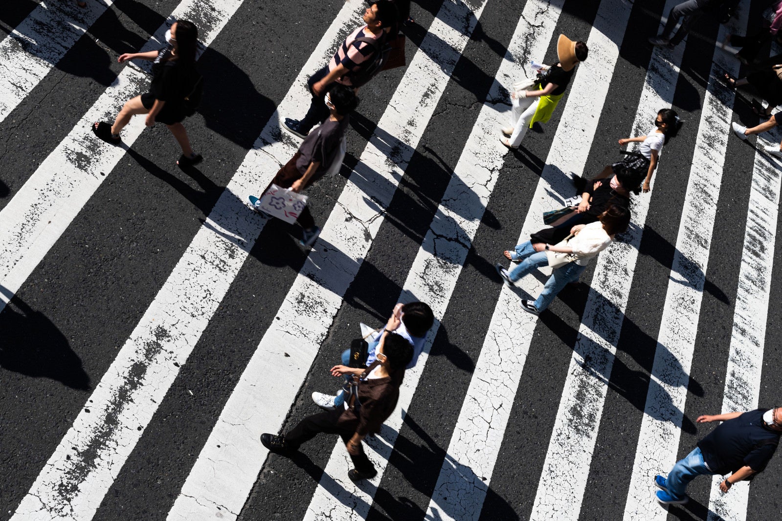 「横断歩道の縞模様に映る人影」の写真