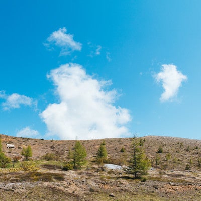 くさきがポツポツ生える白根山の写真