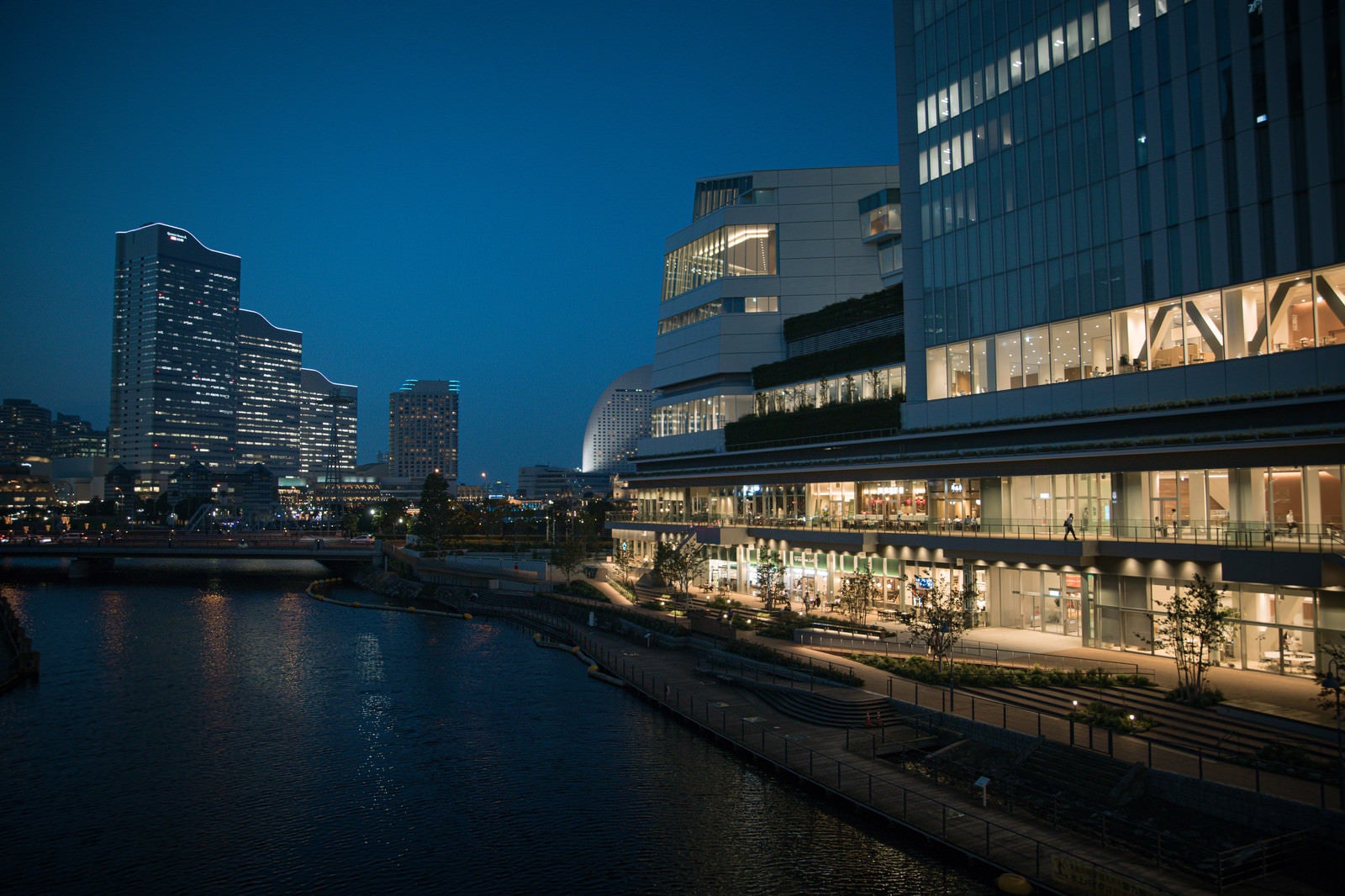 「横浜市役所ラクシスフロントの夜景」の写真