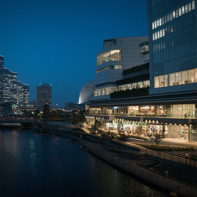 横浜市役所ラクシスフロントの夜景の写真