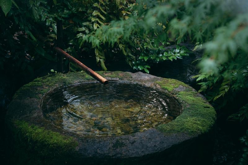 手水鉢に竹の樋から水が落ちるの写真