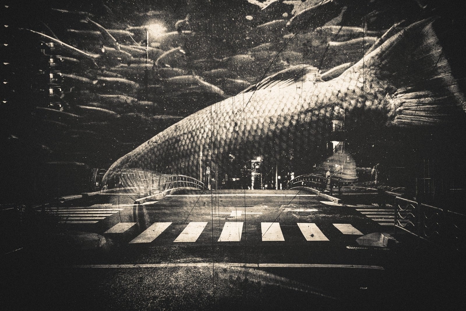 「都会を泳ぐ魚（フォトモンタージュ）」の写真
