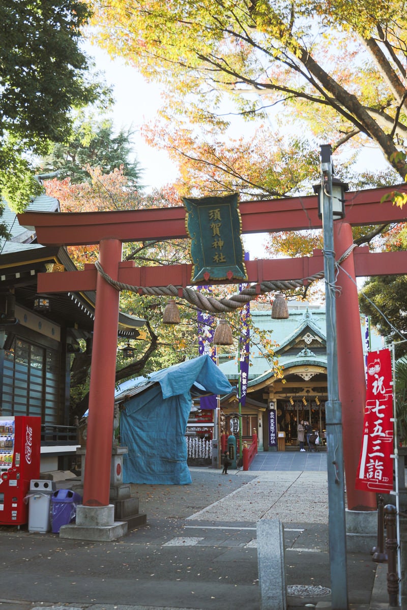 「東京四谷須賀神社の鳥居」の写真