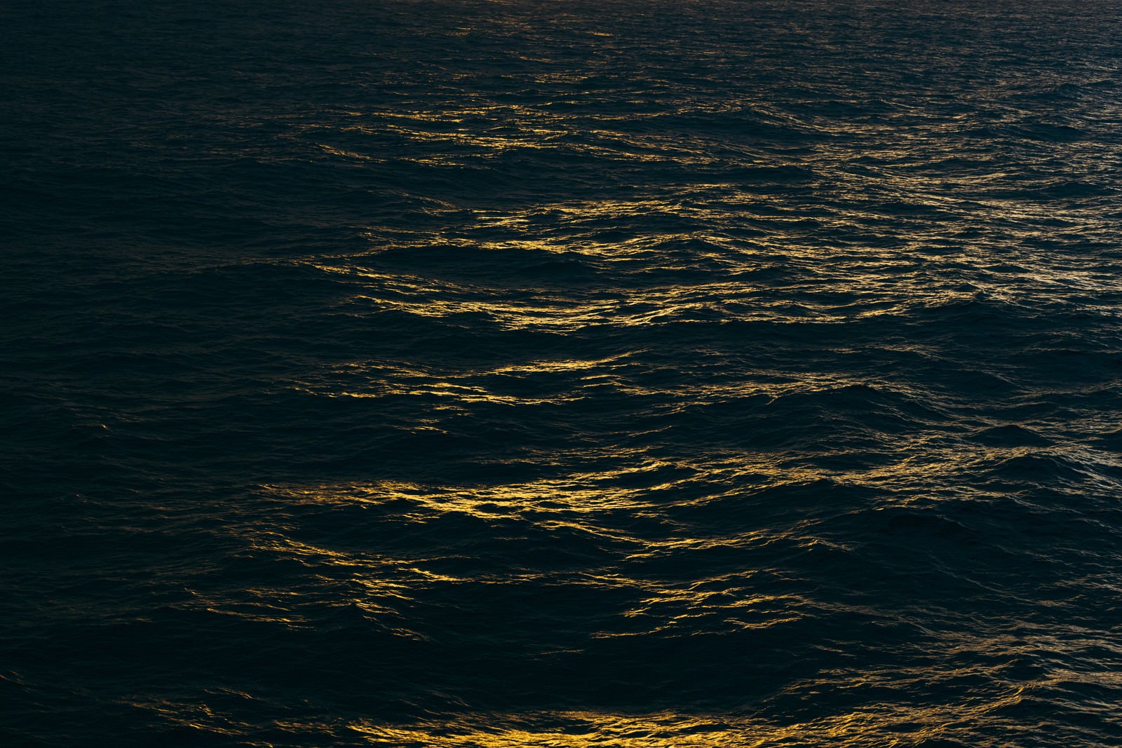 「陽と波」の写真