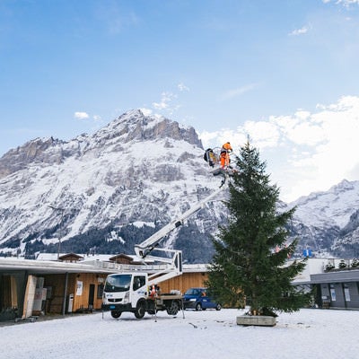 クリスマスツリーの準備中（スイス）の写真