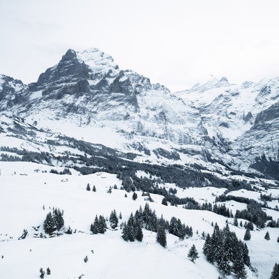 冬のアルプス山脈（スイス）の写真
