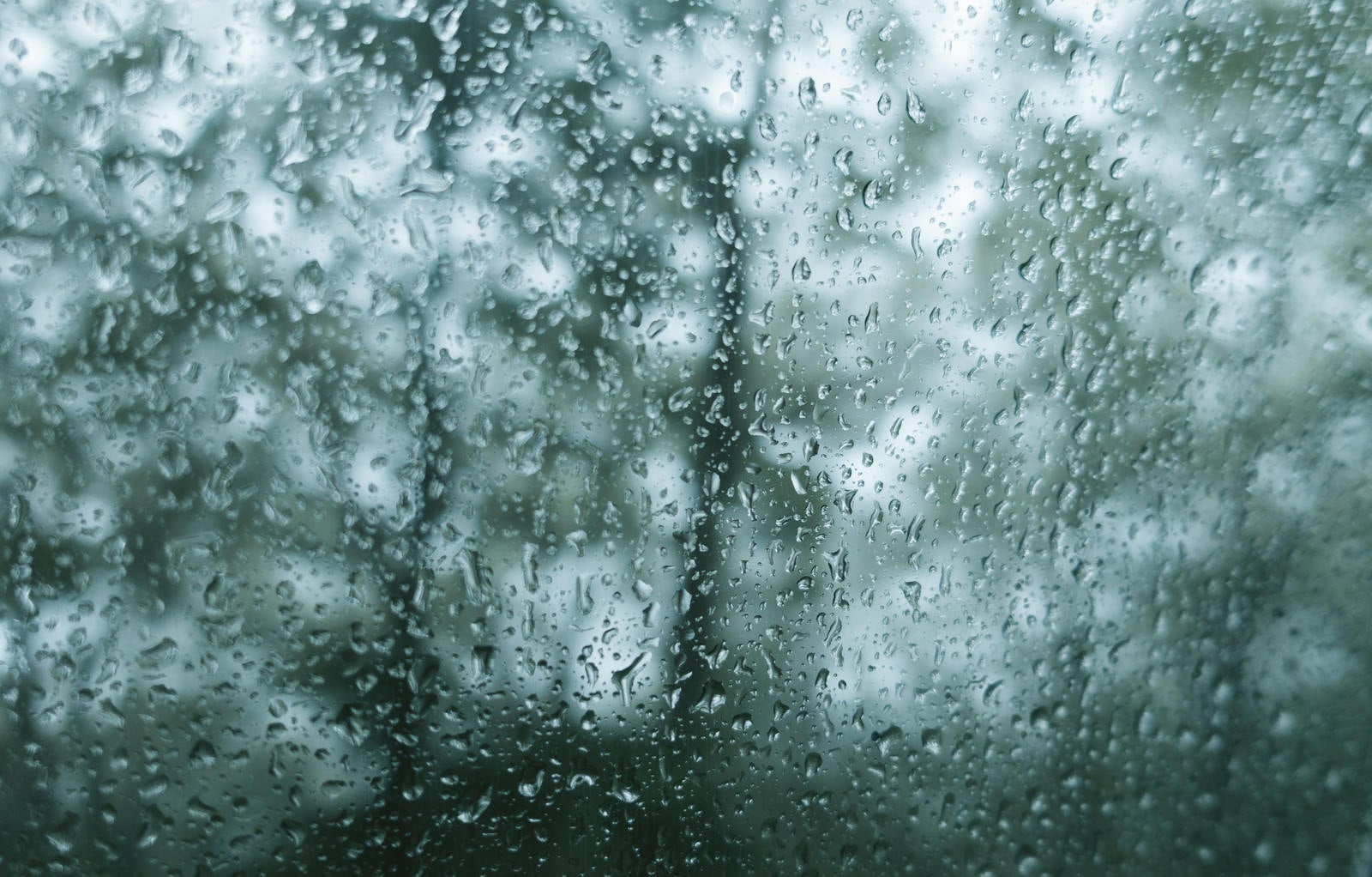 「雨が降ってもどガラスが濡れる」の写真