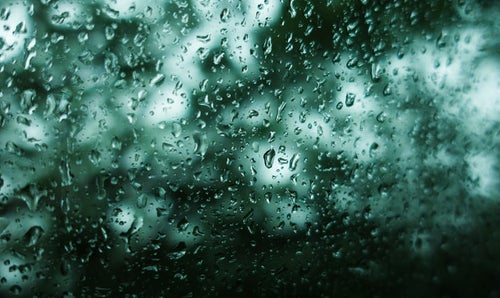 不穏な雨（深い森の中を走る窓ガラスの水滴）の写真