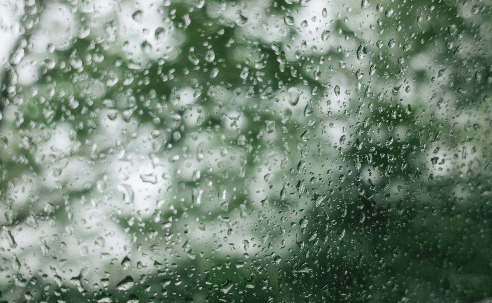 「水滴と窓ガラス」の写真
