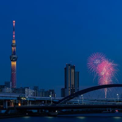 隅田川花火大会とスカイツリーの写真