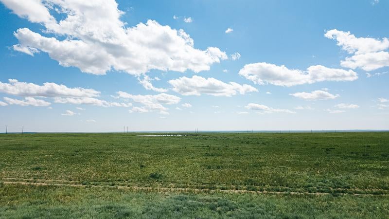 緑の草原が地平線まで果てしなく続く様子の写真