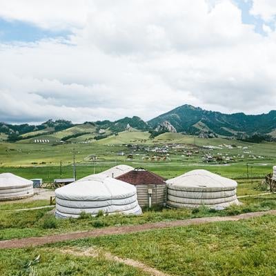 複数の白いゲル（遊牧民の住居）が設置されているモンゴルの草原の写真