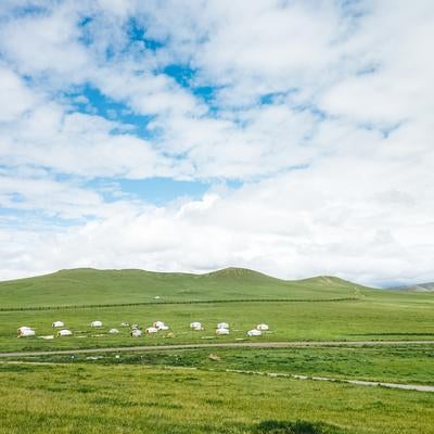 緑の大地に点在するモンゴルの伝統的な住居の写真