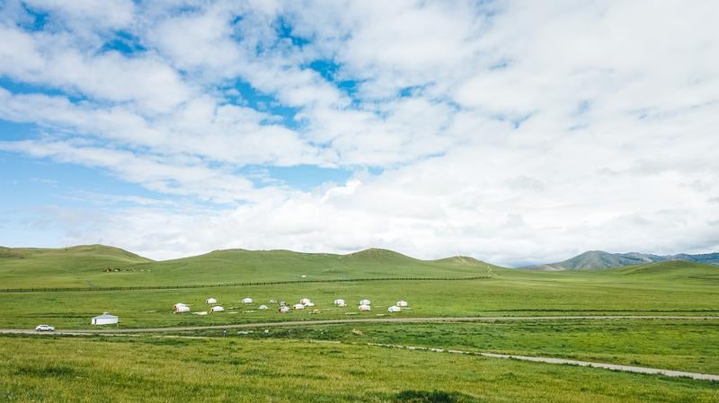 緑の大地に点在するモンゴルの伝統的な住居の写真