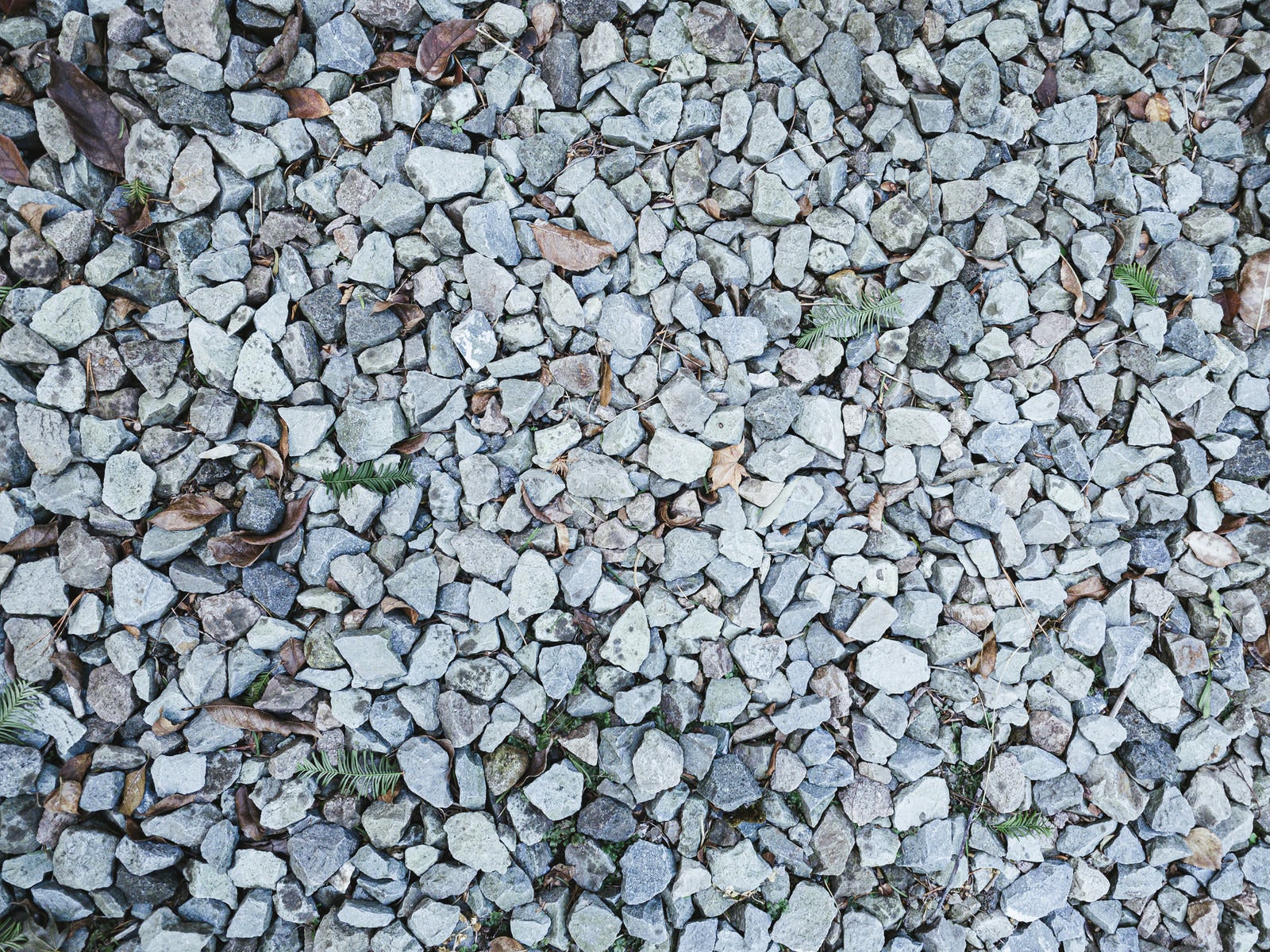 「砂利石が敷かれた地面（テクスチャー）」の写真