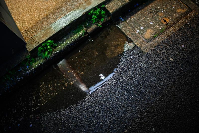 雨上がりの路面にできた水たまり