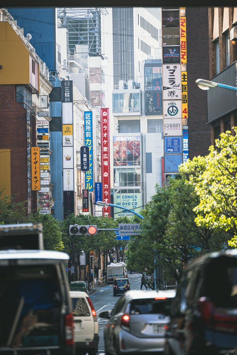「新宿区役所通り沿いの様々な突出し看板」の写真