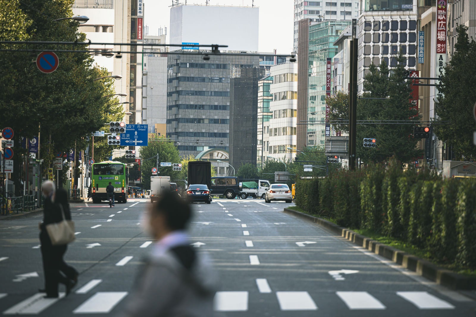 「新宿の横断歩道から見た車道」の写真