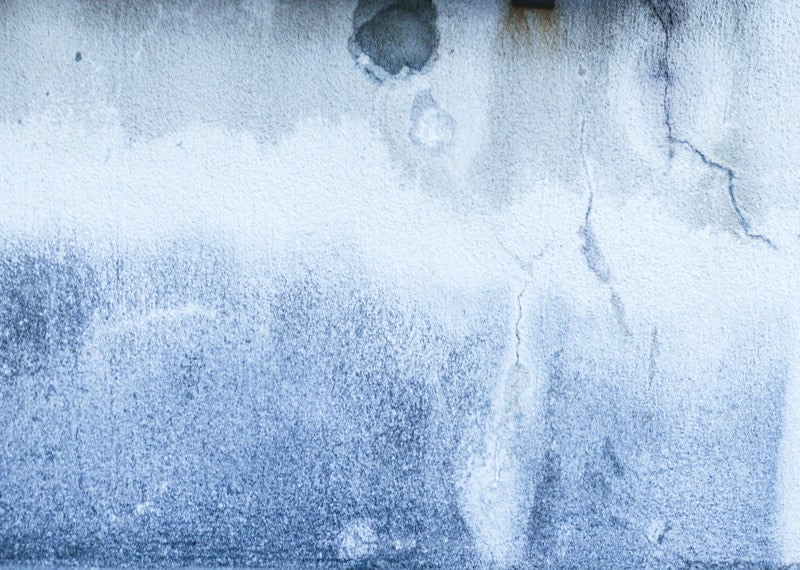 エフロで白く染まる壁の写真