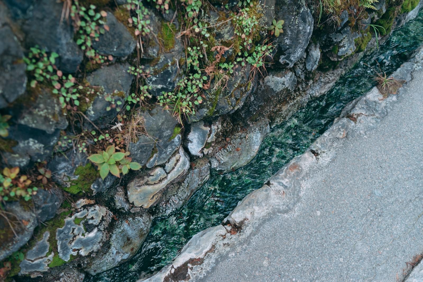 「温泉成分で緑色に変色した側溝」の写真