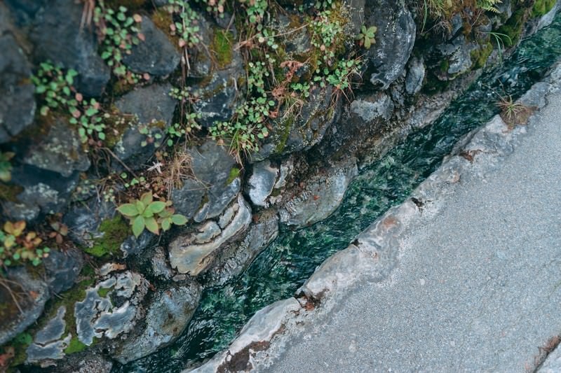 温泉成分で緑色に変色した側溝の写真