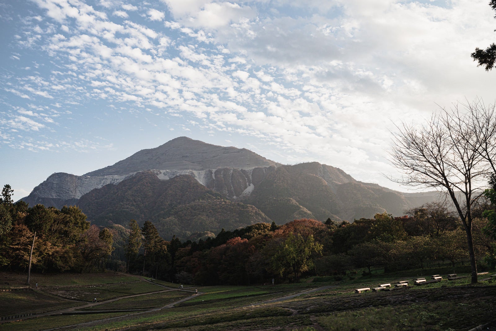 「羊山公園から望む武甲山（ぶこうざん）」の写真