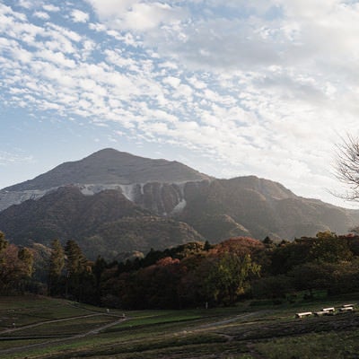 羊山公園から望む武甲山（ぶこうざん）の写真