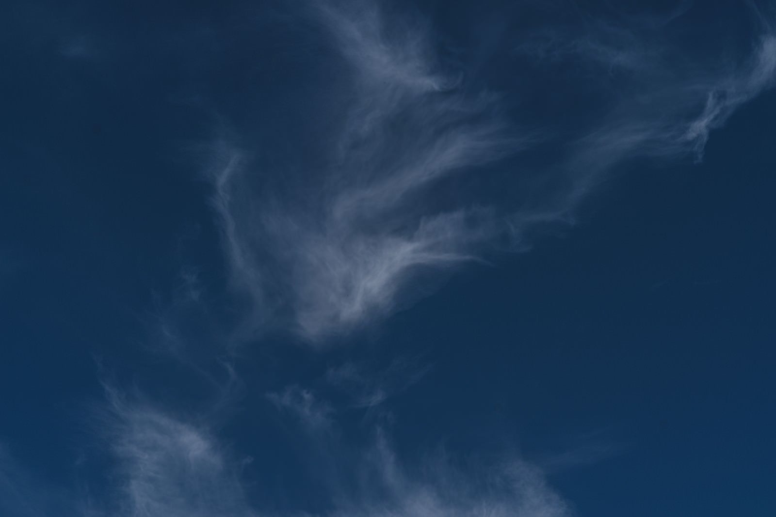 「深い青空と薄い雲」の写真
