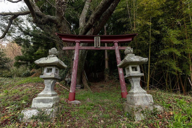 赤い鳥居と大和田稲荷神社へ続く道の写真