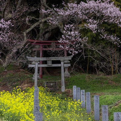 大和田稲荷神社の鳥居へと続く石柱の写真