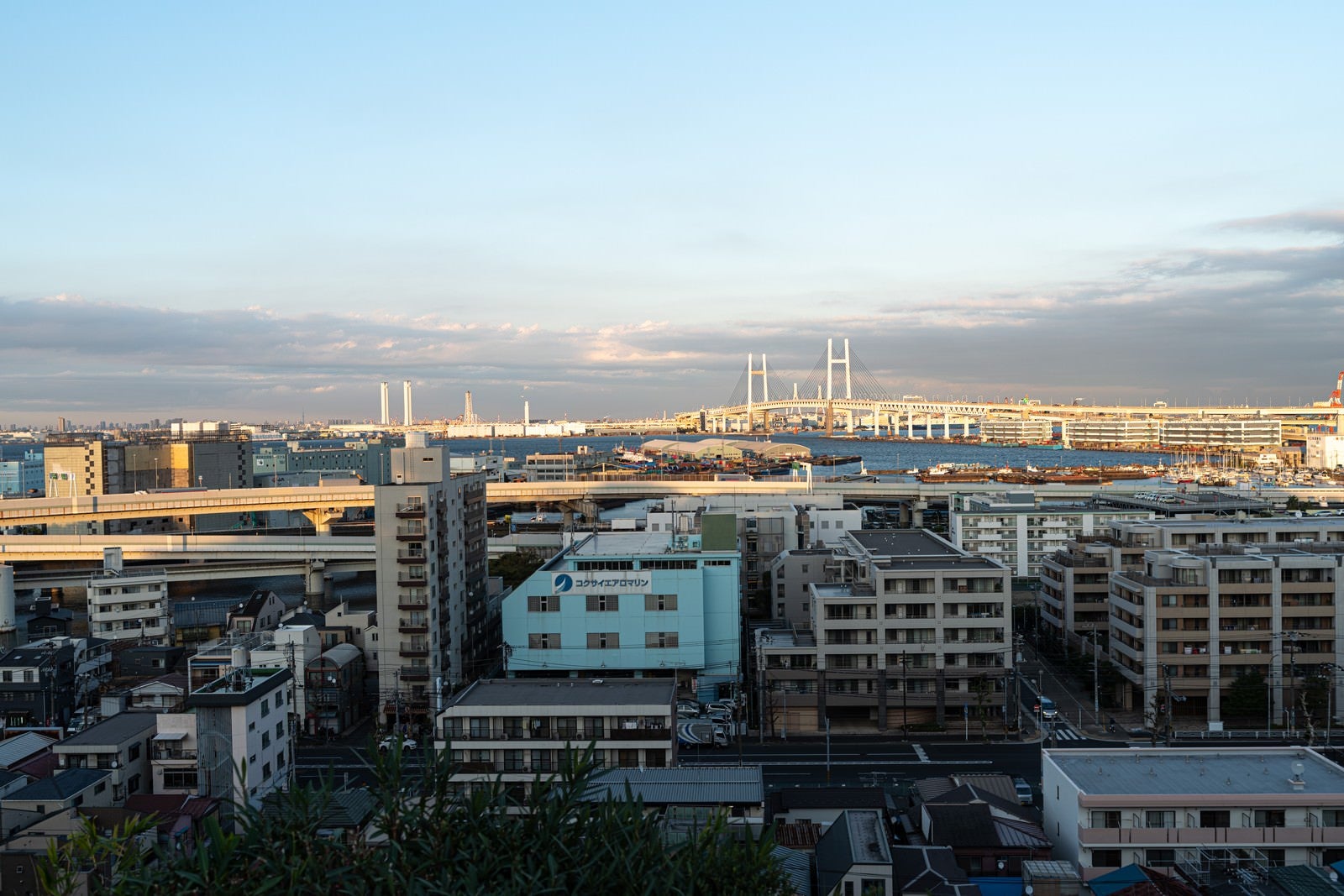 「港の見える丘公園からの街並みと埠頭」の写真