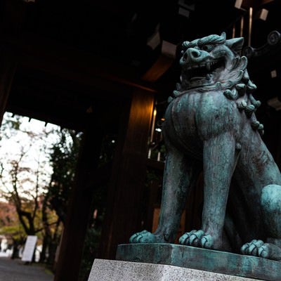 靖国神社の狛犬の写真
