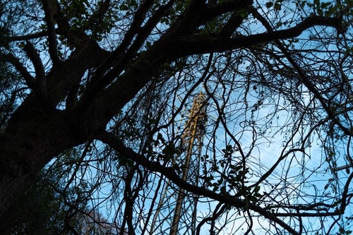 木々の間から見える鉄塔の写真