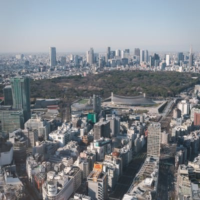 渋谷スクランブルスクエアから見た代々木公園の写真