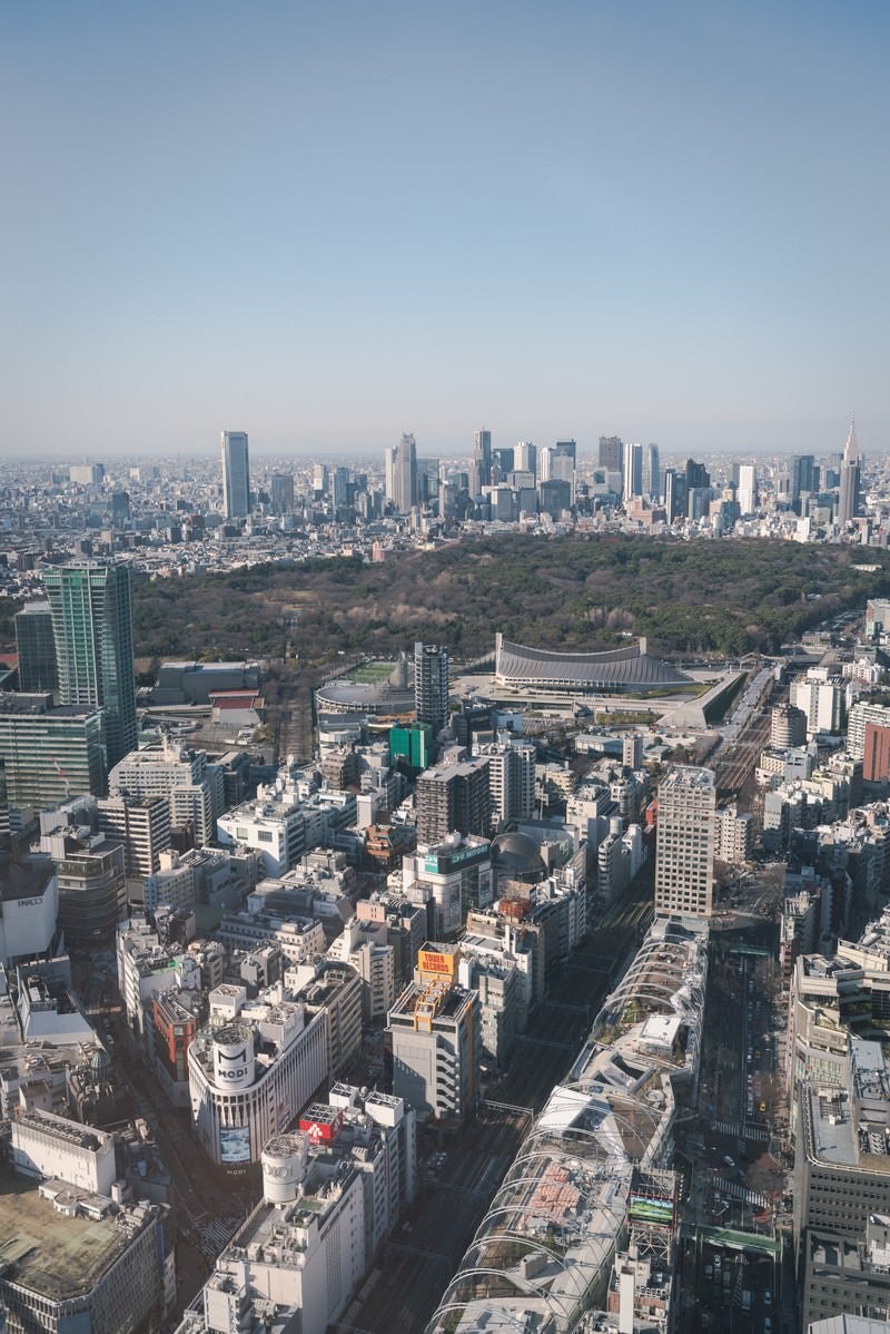 渋谷スクランブルスクエアから見た代々木公園の写真