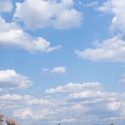 笹原川千本桜の上に広がる空の写真