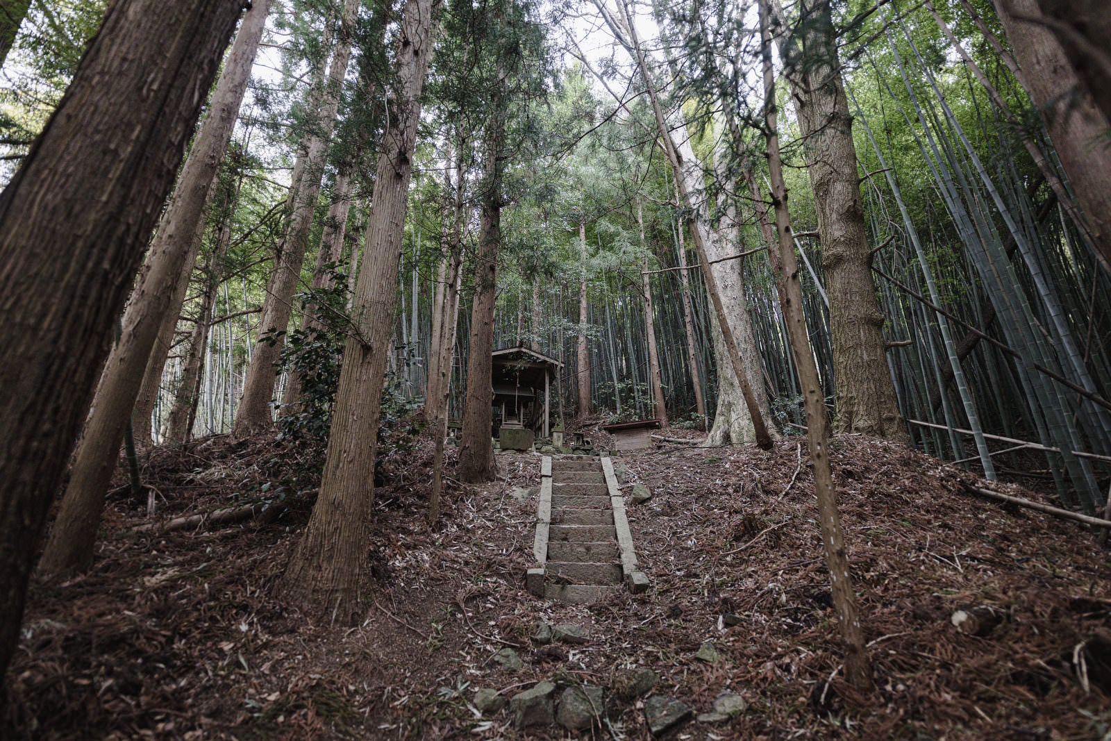 「石段の上にある大和田稲荷神社」の写真