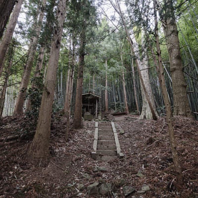 石段の上にある大和田稲荷神社の写真