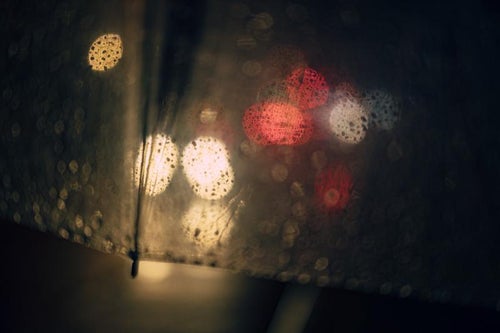 雨の日のパラソルの写真