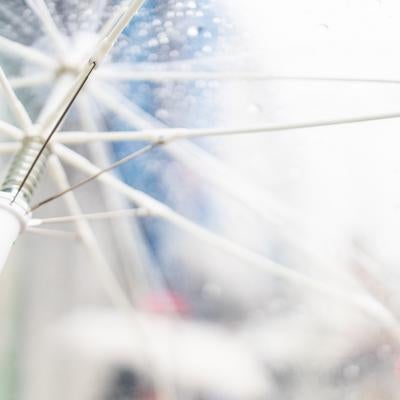 雨粒がついたビニール傘の骨組みの写真
