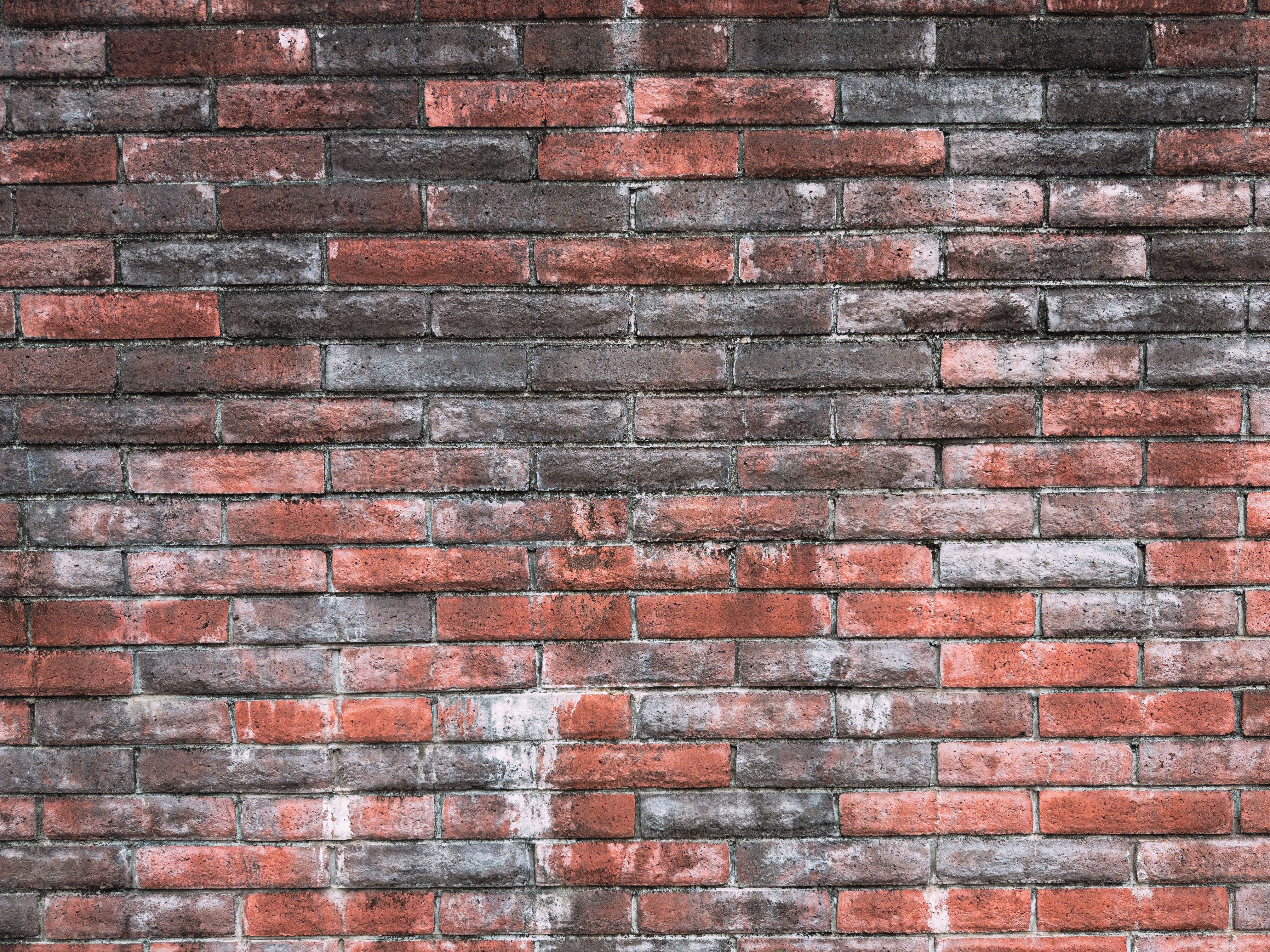 susitexture051324085.jpg?&