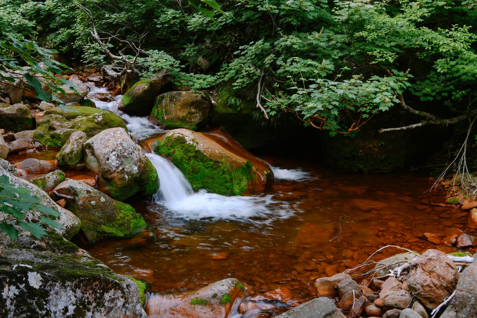 「真っ赤な川底の斜里岳渓流」の写真