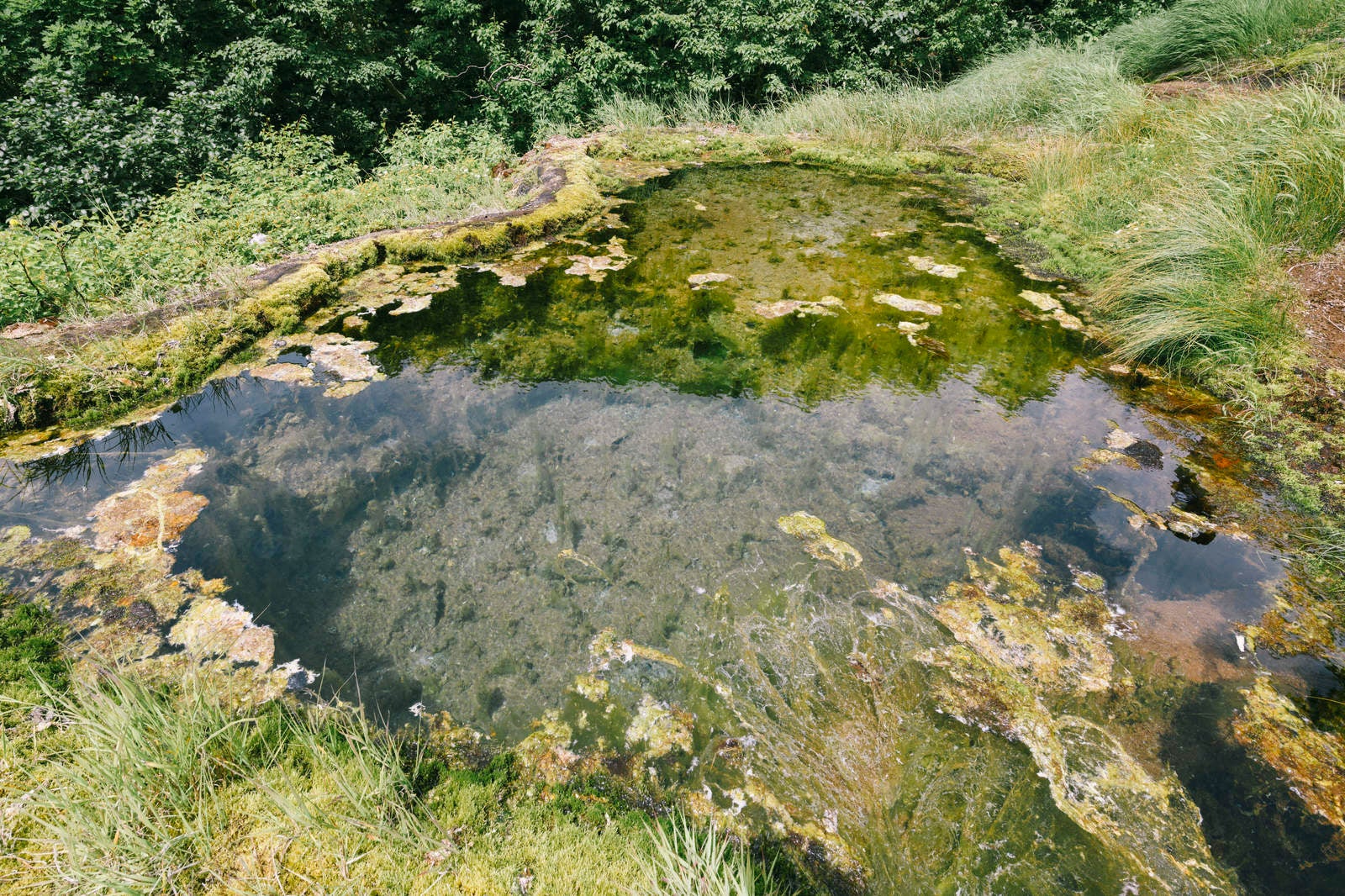 「龍神の池」の写真
