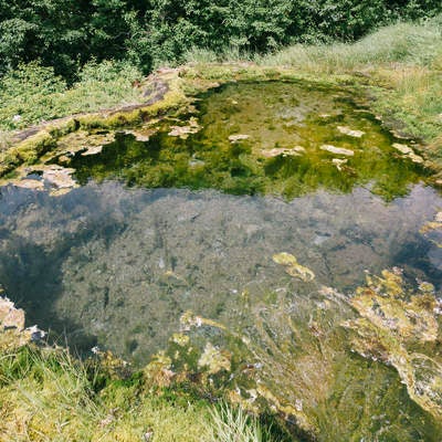 龍神の池の写真