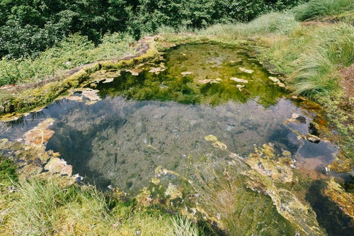 龍神の池の写真