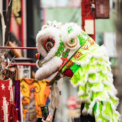 中国旧正月（春節）獅子が舞う横浜中華街の写真