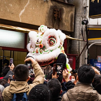 中国の春節を祝う伝統的な獅子舞、採青（ツァイチン）の写真